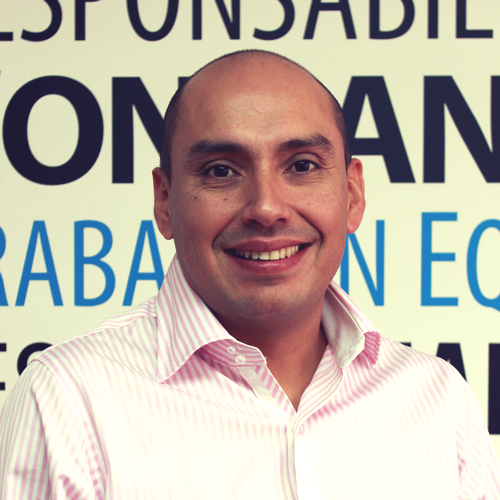 Equipo-Gerente de Diseño y Costos